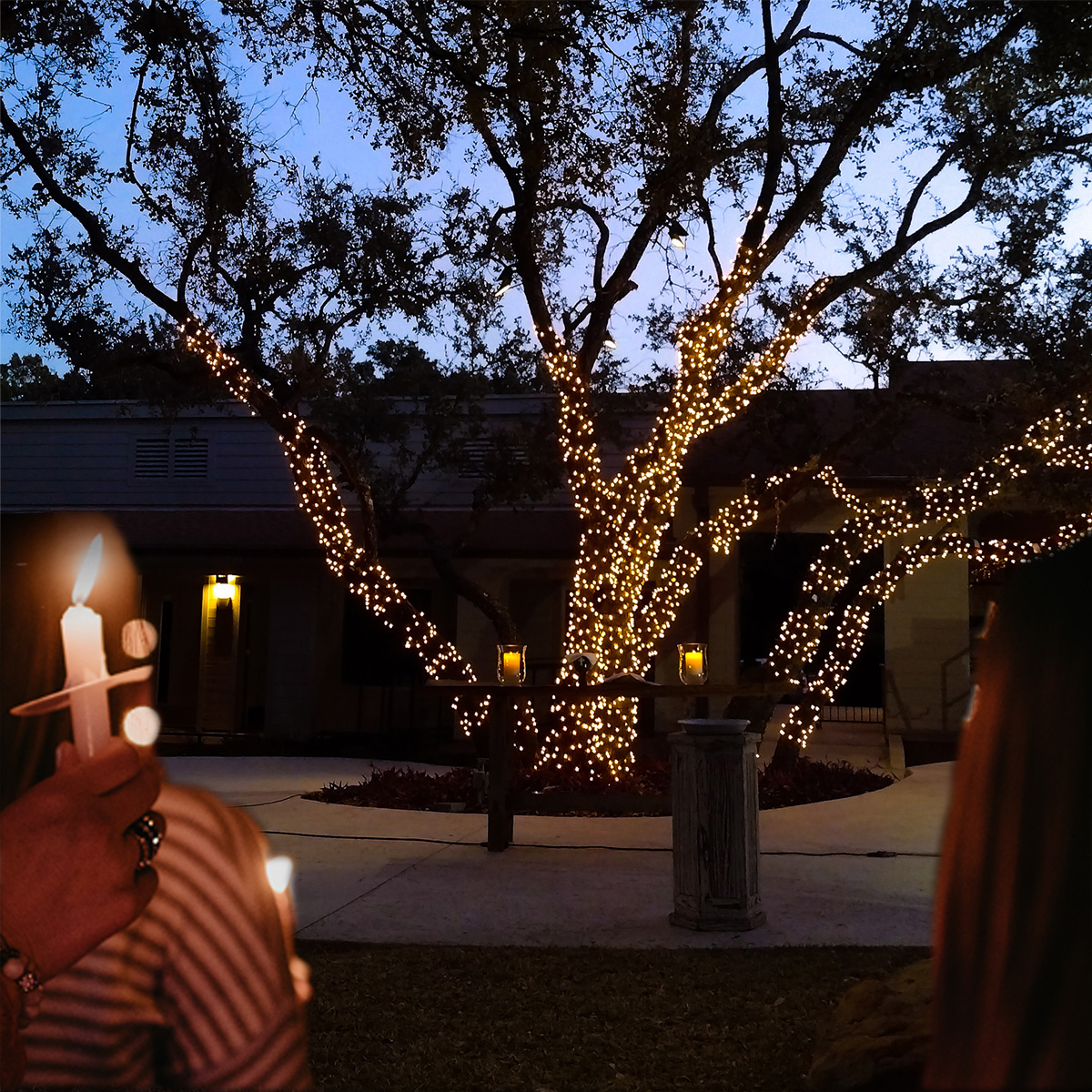 Christmas lights and candles